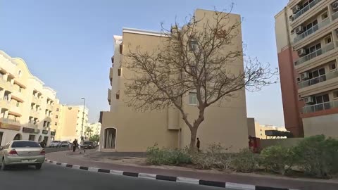 Dubai Creek Road Trip: A Drive Along the Historic Waterway's Cultural Corridor