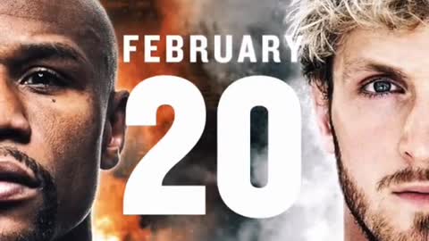 Logan Paul VS Mayweather