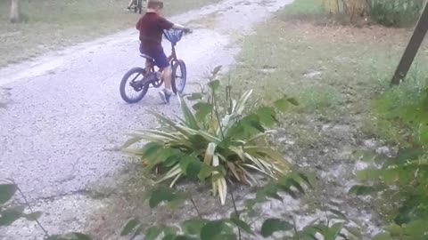 Screeming sends Odie off...