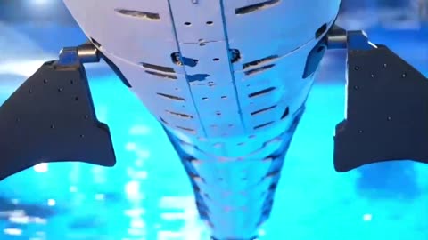 The World's First Bionic Whale Shark