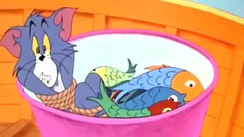 Tom and Jerry Cartoon