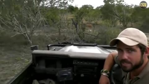 Mongoose Activities