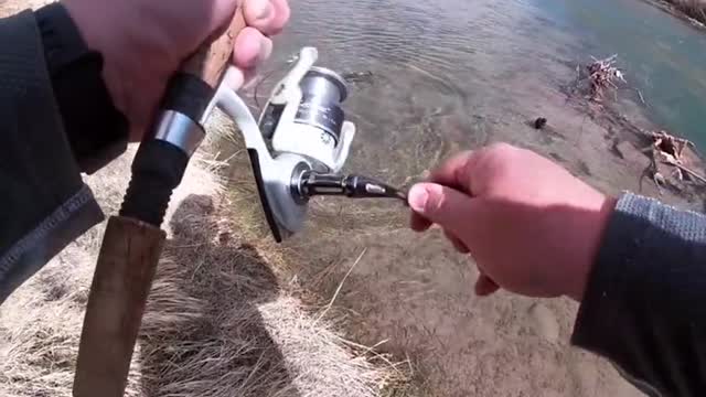 How much do you like going after big browns