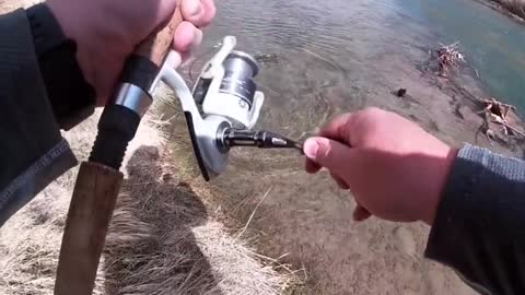 How much do you like going after big browns