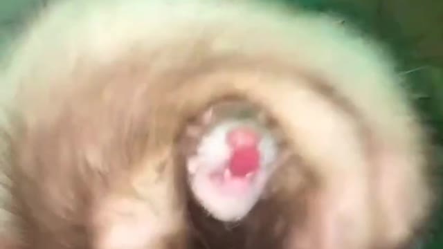 Of course all of these have a solution🙂