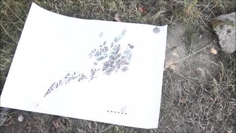 Thulean Perspective - The MYFAROG map; v. 1 versus v. 2