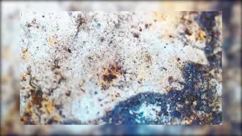WHAT WILL HAPPEN IF YOU LOWER AN AQUARIUM FISH INTO THE 40 YEAR OLD WATER ? WATER FROM THE USSR-11
