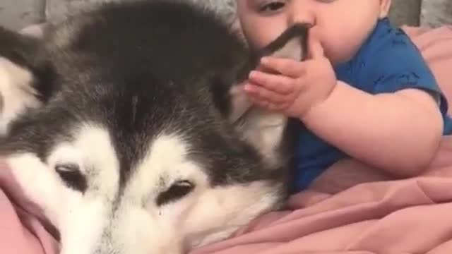 With children and puppies