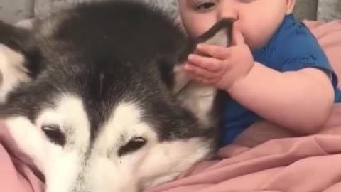 With children and puppies