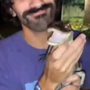 I saw this outcome coming a mile away 😂😂