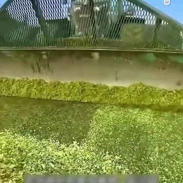 Top ways to harvest smarter #USA #Canada #Germany #Viral #Trending