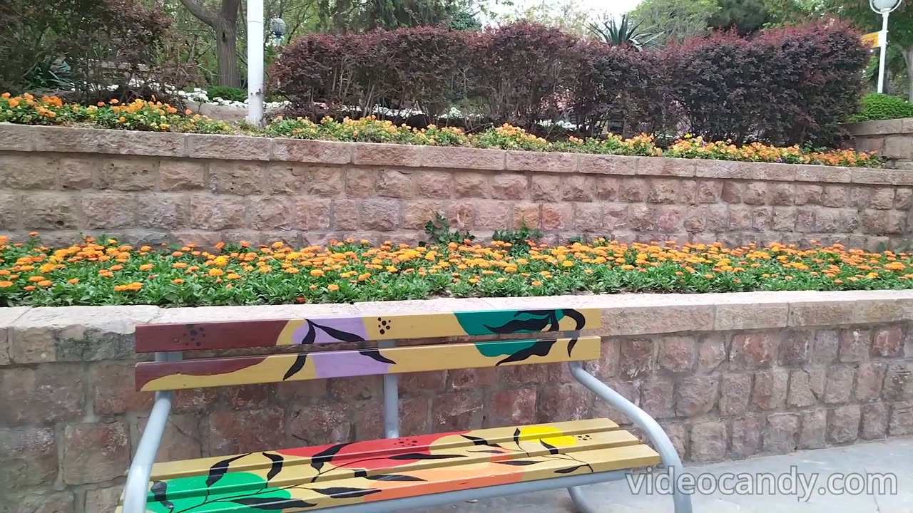 Spring