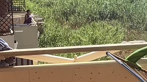 Women Does Her Best to Stop Fire
