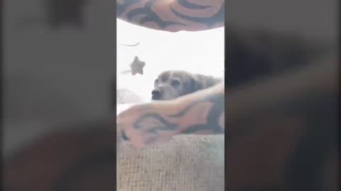 Emotional & Sad Tik Toks That Made Me Cry to Sleep