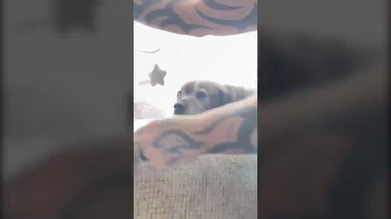 Emotional & Sad Tik Toks That Made Me Cry to Sleep