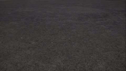 7231USCG00EastFrontHouseEgg_2021-01-05_21h52min41s113ms.mp4