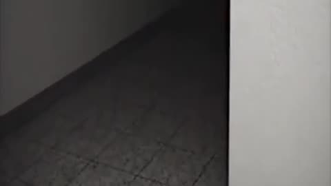 Catch_me_if_you_can