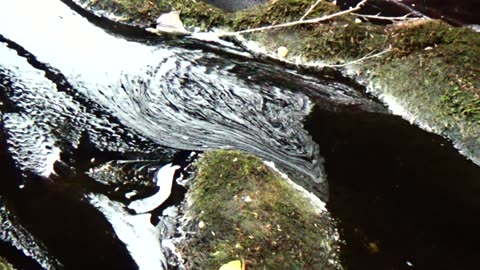 River Foam