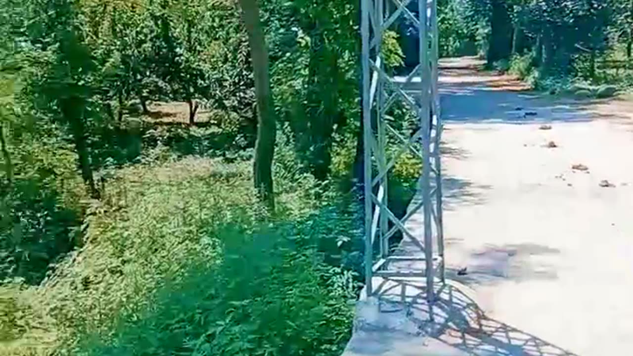 Beautiful nature