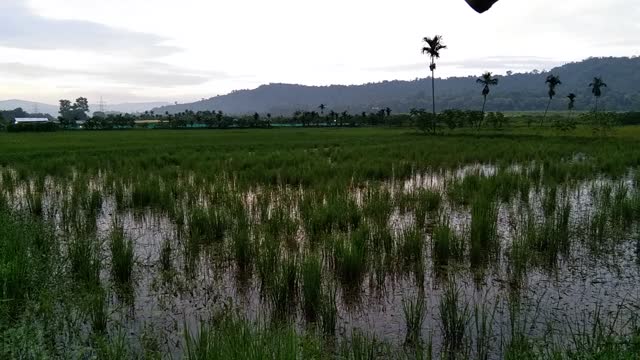 EARLY MORNING VIEW IN VILLAGE (@4.54 AM,)