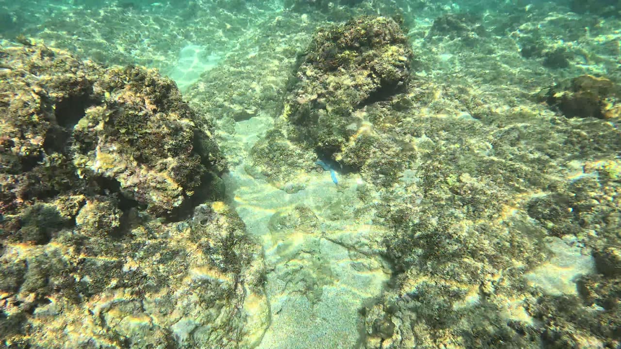 Snorkeling in the shallows before hitting the reef