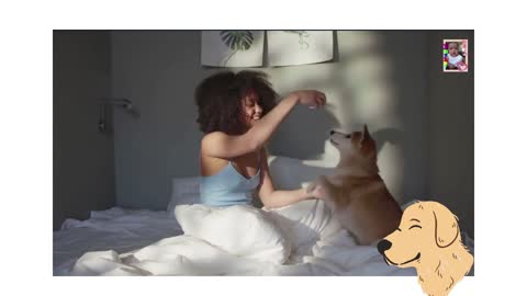 DOG AND HUMAN RELATIONSHIP