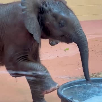 Refreshing bath splash