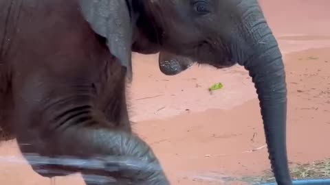 Refreshing bath splash