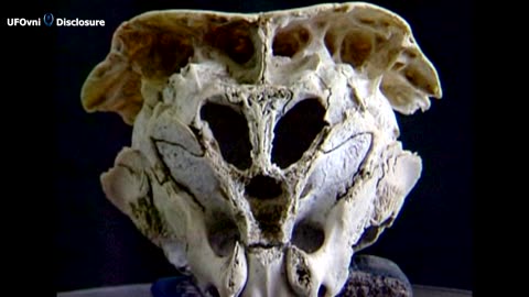 THE RHODOPE SKULL WAS IT A TRUE ALIEN?