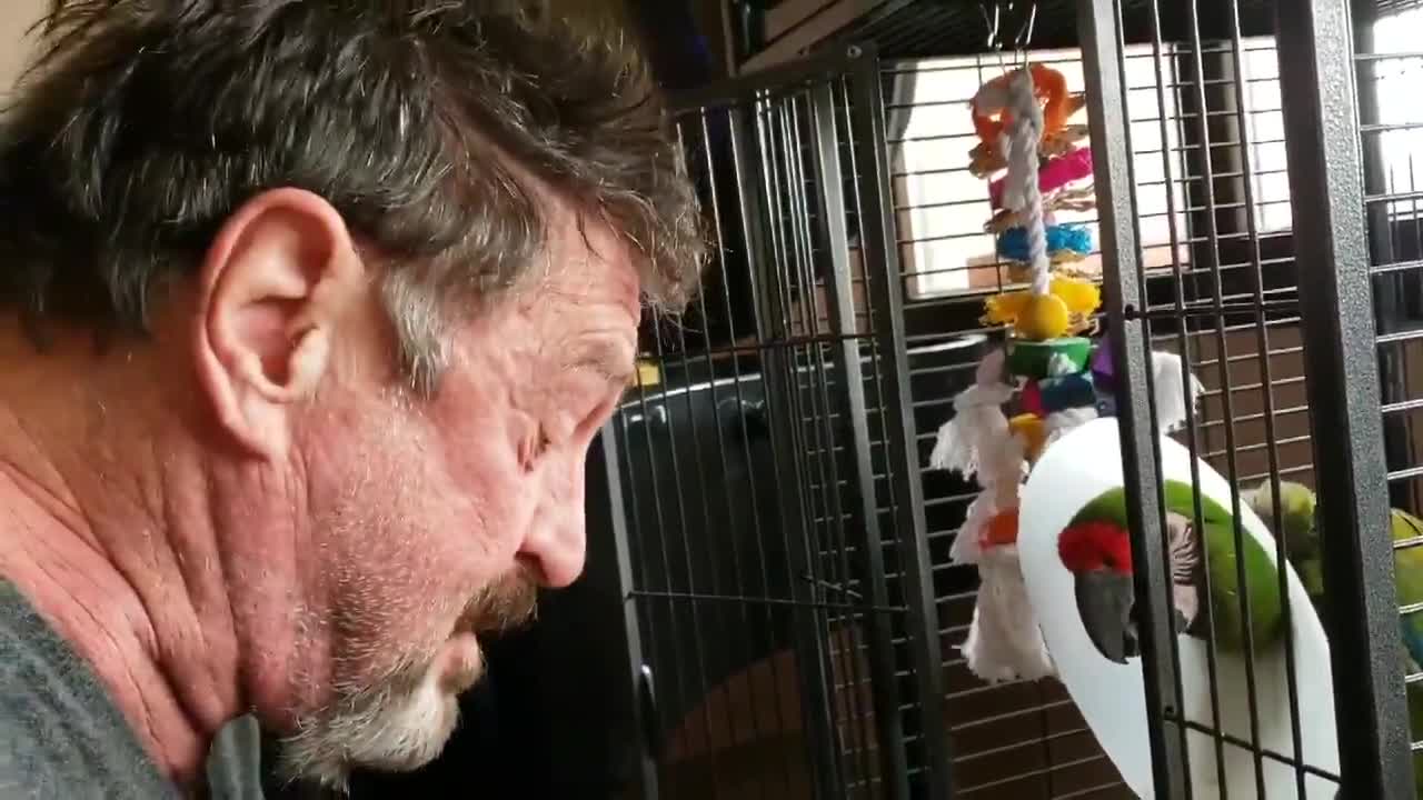 McAfee vs Bird