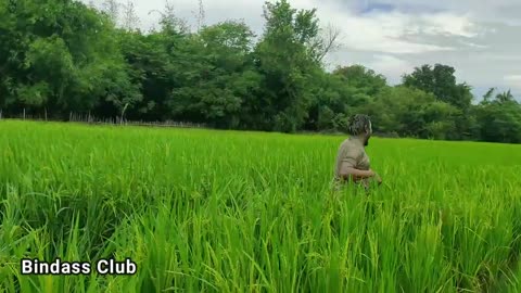 Very Funniest comedy video-fully entertainment video