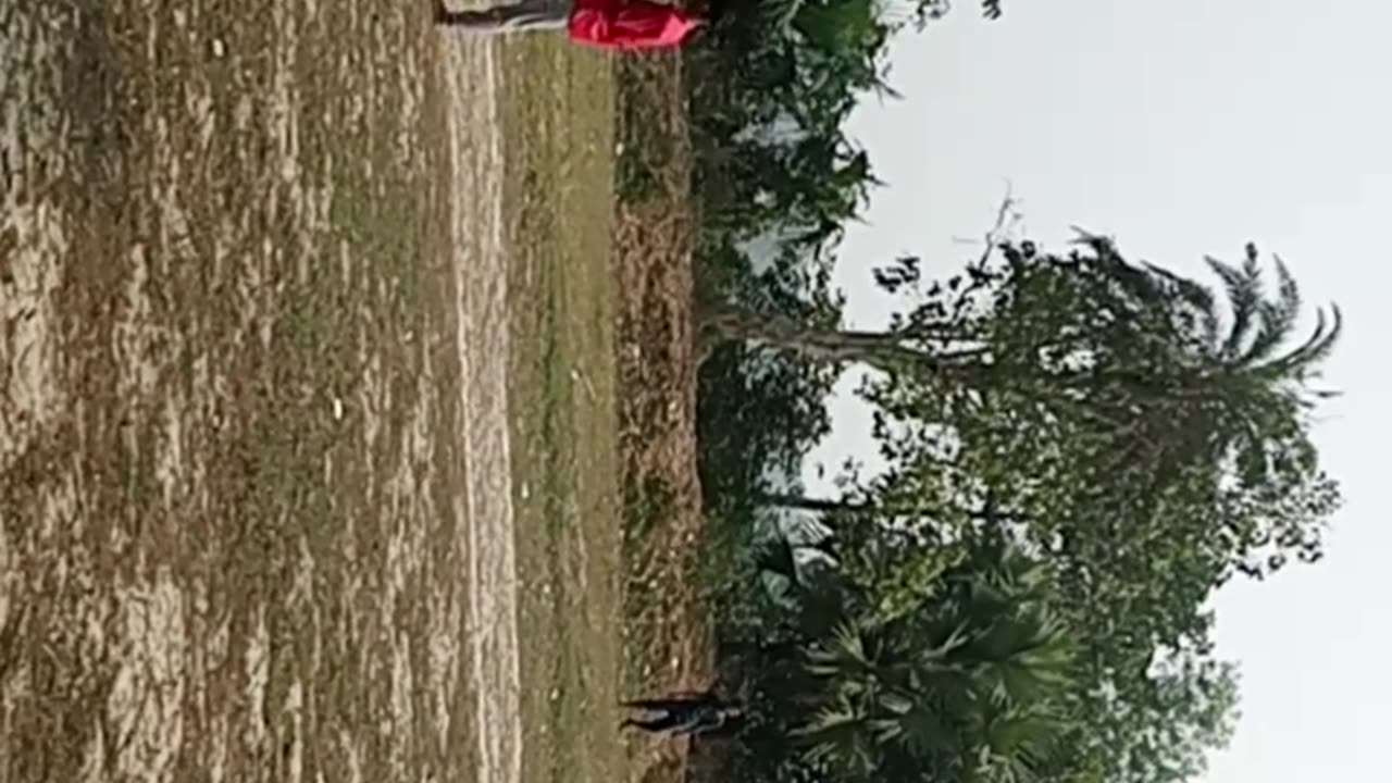 Cricket of India villege boys প্ল্যাস্টিক ball