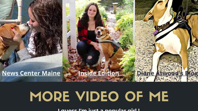 Service Dog Heroine