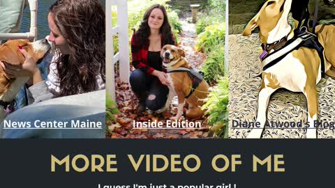 Service Dog Heroine