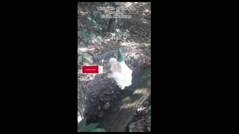 "🧝‍♂️ Whimsical Elvish Creature Caught On Camera! 📹 (REAL AUTHENTIC FOOTAGE) 🌟