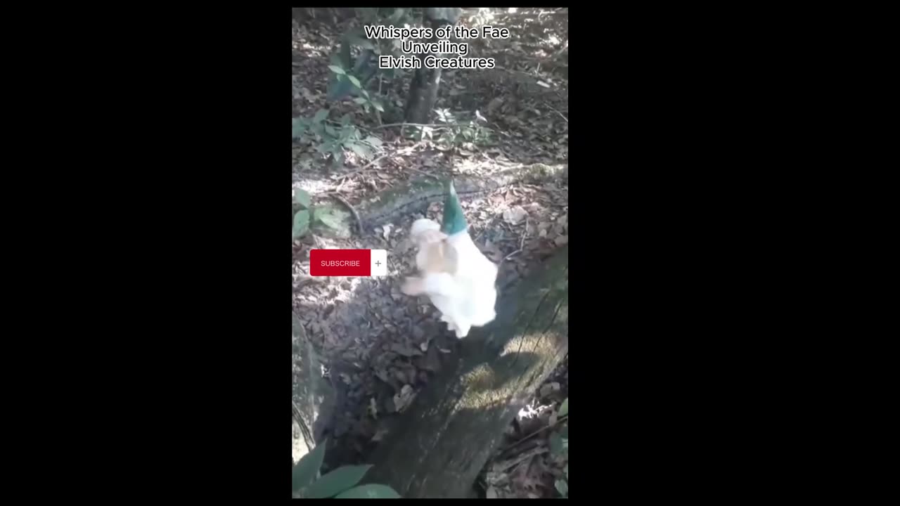 "🧝‍♂️ Whimsical Elvish Creature Caught On Camera! 📹 (REAL AUTHENTIC FOOTAGE) 🌟