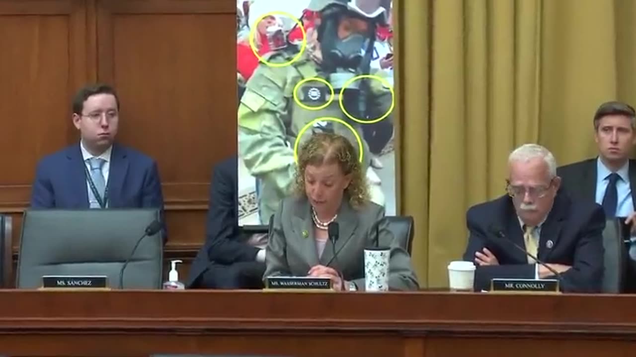 Rep. Wasserman Schultz once again attacks the credibility of the whistleblower