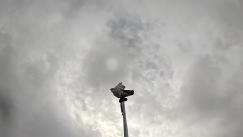 So.Cal 030224B