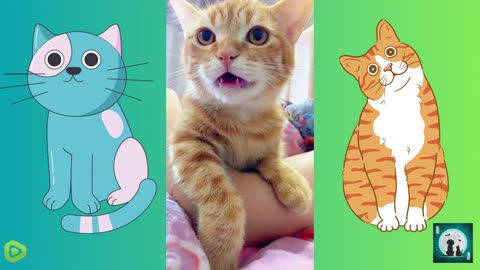 "Cats: reminding us to find joy in the little things."