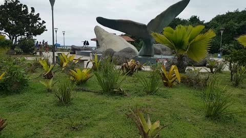 Baleia