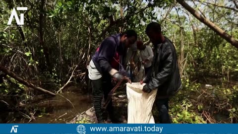 Hellshire Beach Crab Hunting After Hurricane Beryl | Amaravati Today News