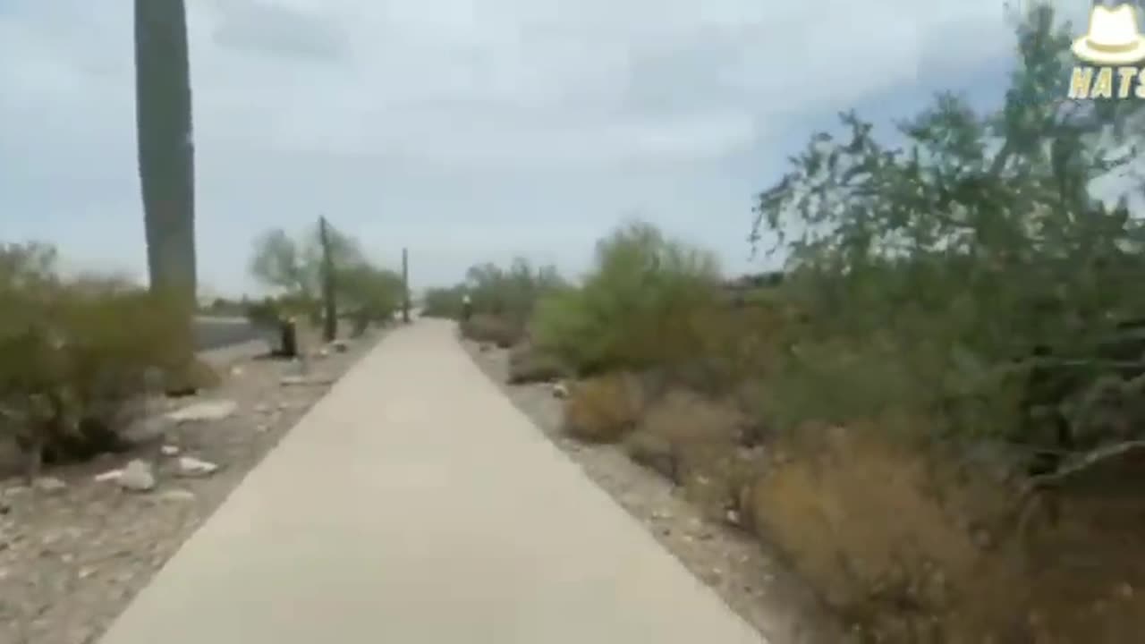 Stay Away From Unusually Tall Cactus Because They Might Be 5G