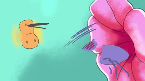 The surprising secrets of hummingbird flight - Kristiina J. Hurme and Alejandro Rico-Guevara