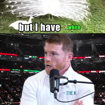 CANELO Talks About ALL HIS ANIMALS 🐯🦜🐎