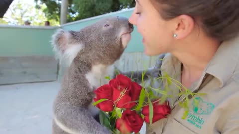 20 Peaceful And Friendliest Animals In The World
