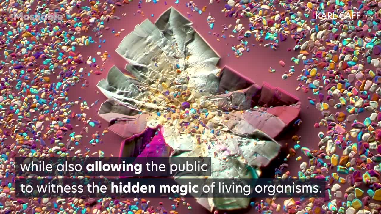 Get Up Close With the Secret, Microscopic World of Cells