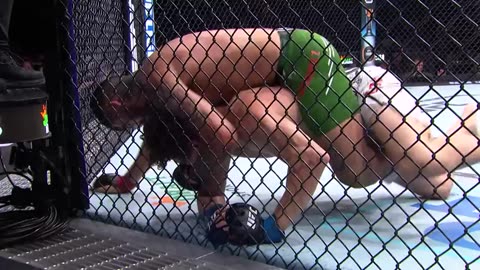 Every Anthony -Fluffy- Hernandez Finish - UFC Vegas 99