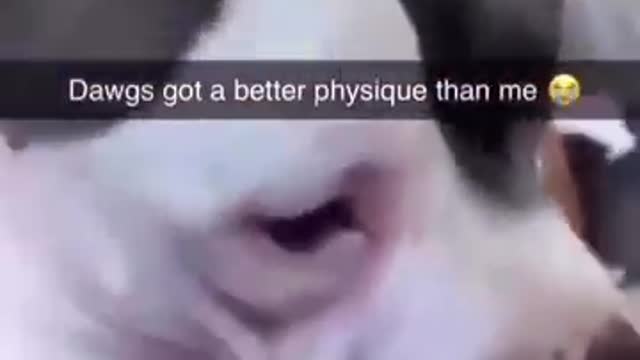 When Dog Got A Better Physique Than You 😂