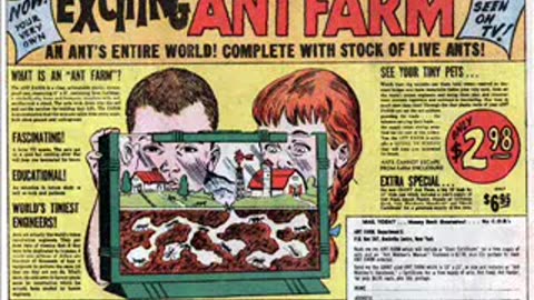 Playing God: The Loving Psychopath. [ MIRROR ]