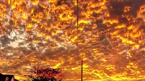 Sunset 🌇